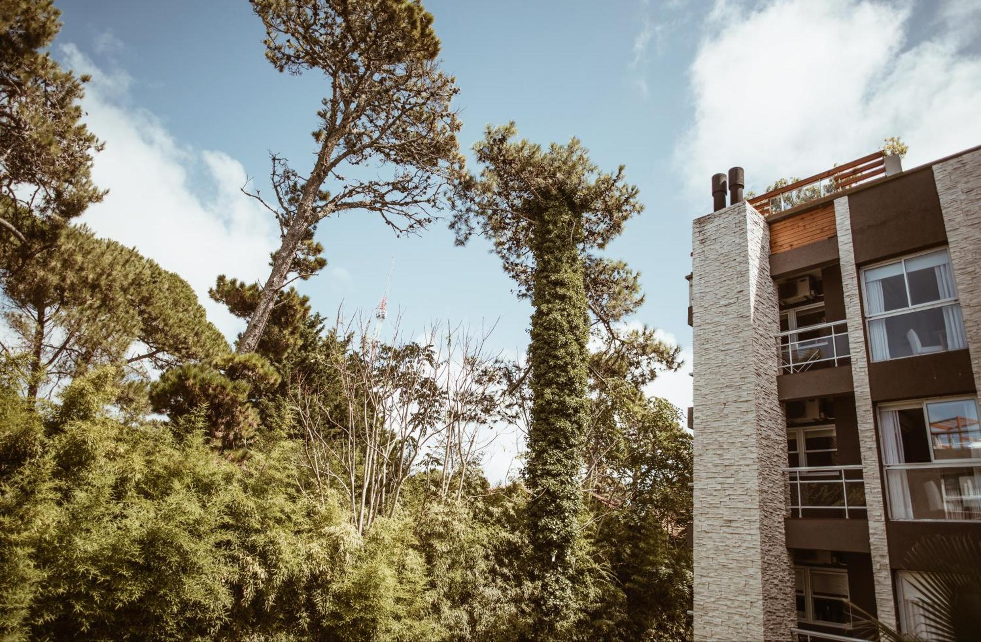 Suite House كاريلو المظهر الخارجي الصورة